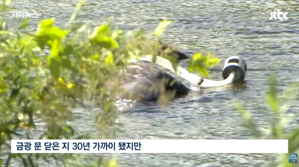 하천을 훼손하며 사금을 채취하는 사람들