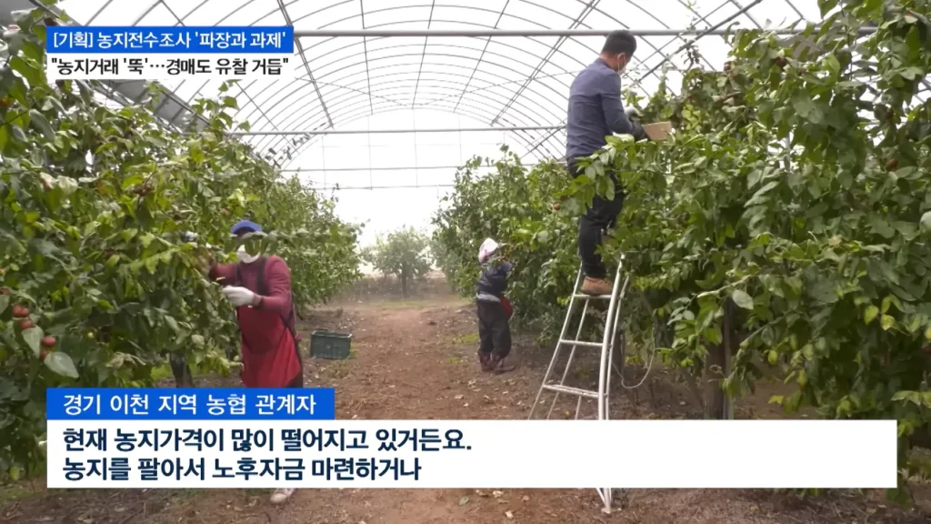 농지전수조사로 지역농축협 재정건전성 악화 진행중