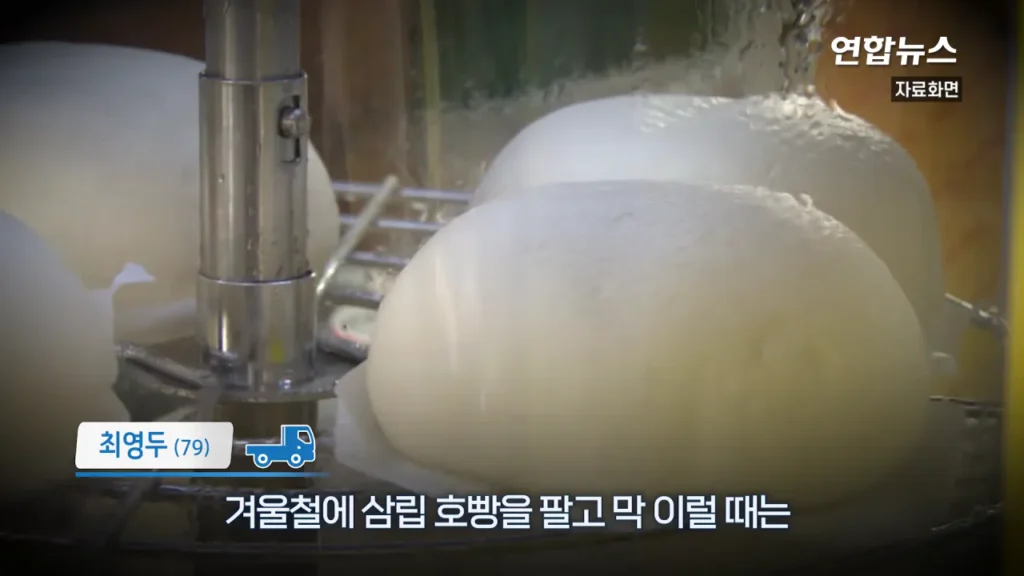 29년간 함께한 포터 차주, 현대자동차가 찾습니다
