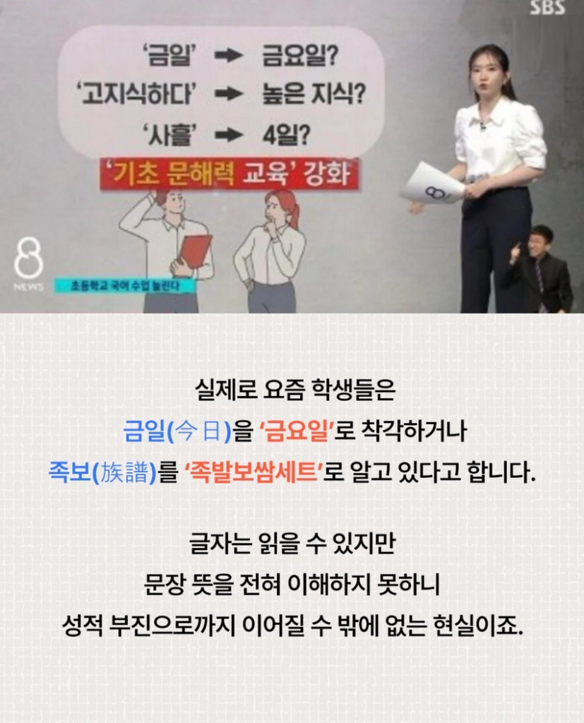 2028년 교육과정, 한자 교육 부활 예정