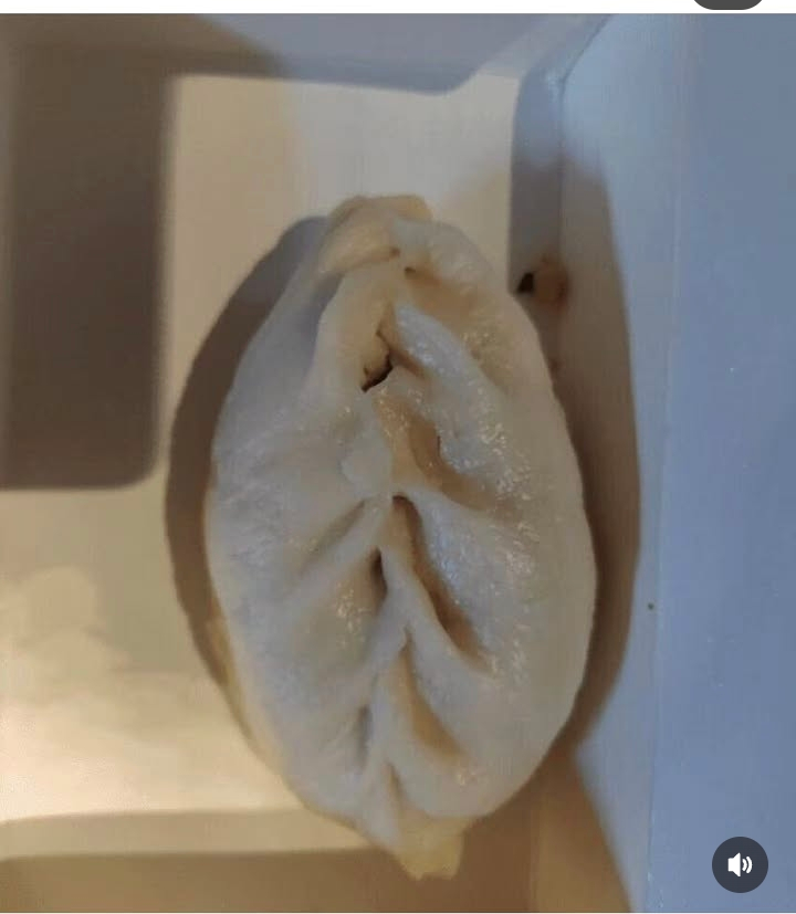 한강에서 무료 식사 해결하는 디시인