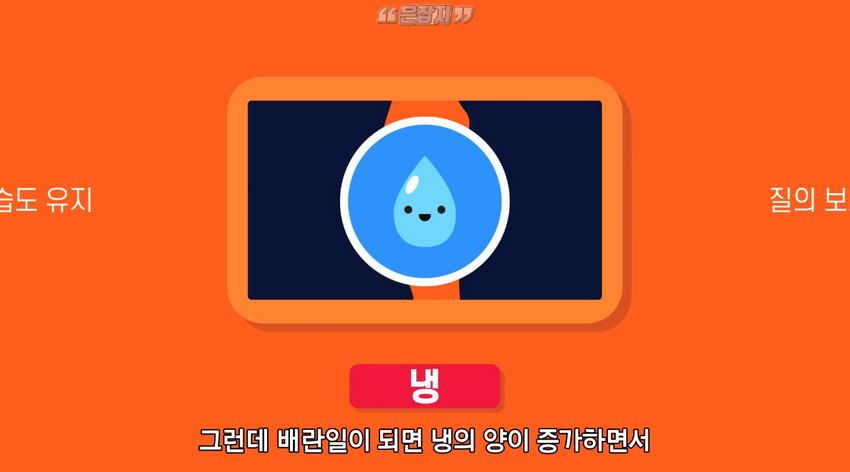 남자들은 잘 모르는 '냉'에 대하여