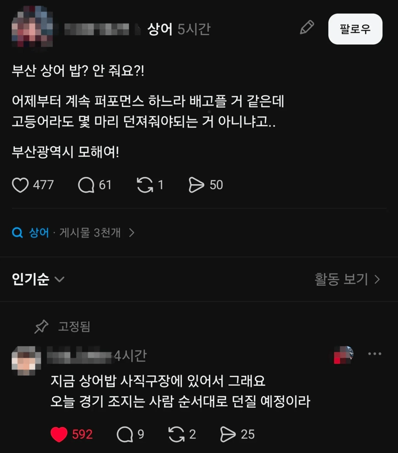 부산 상어밥 아직 안주고 있는 이유