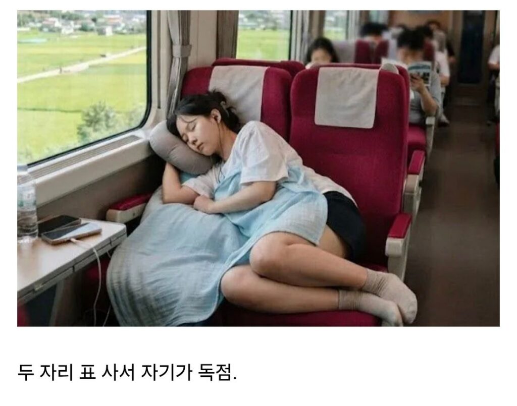 기차 좌석 2자리 차지, 비매너 논란.jpg