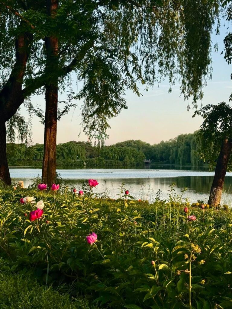 일산 이사 후 이국적인 동네 풍경에 해외여행 욕구를 잃은 사연