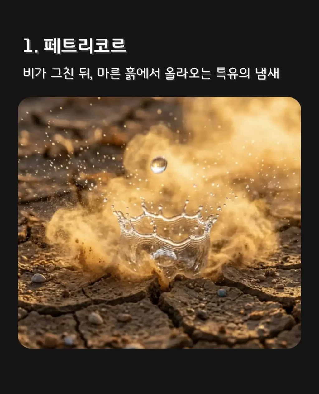이름을 잘 모르는 물건