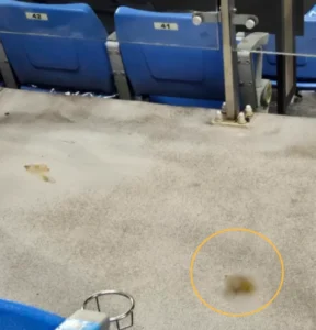 잠실 야구장에서 어제 있었던 대변 투척 사건, 아이 엄마 관련