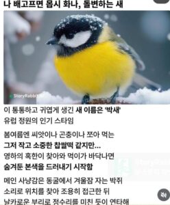 박새, 배고프면 위험해