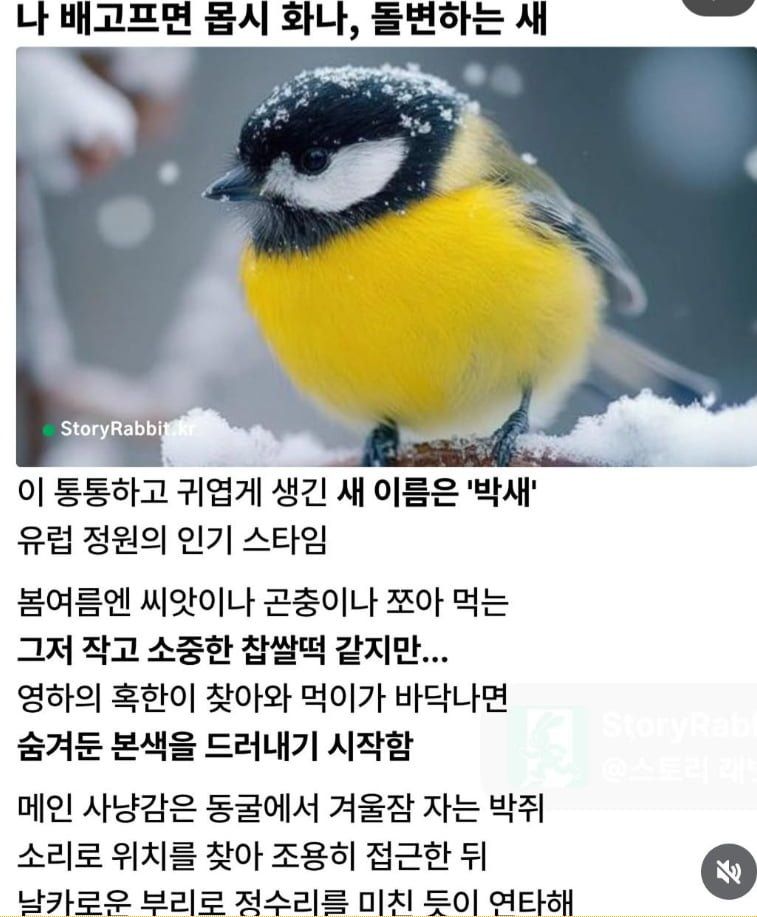 박새, 배고프면 위험해