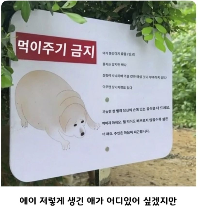 정직한 표지판에 대한 고찰