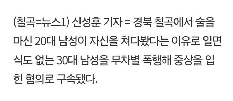 20대 문신남, 행인 폭행 사건 (약혐)