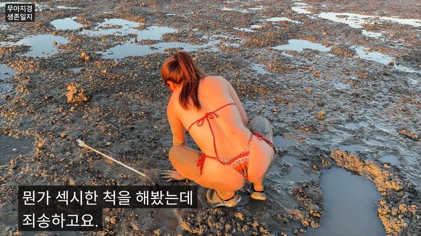 약후] 갯벌에서 식자재 해결하는 여자.jpg