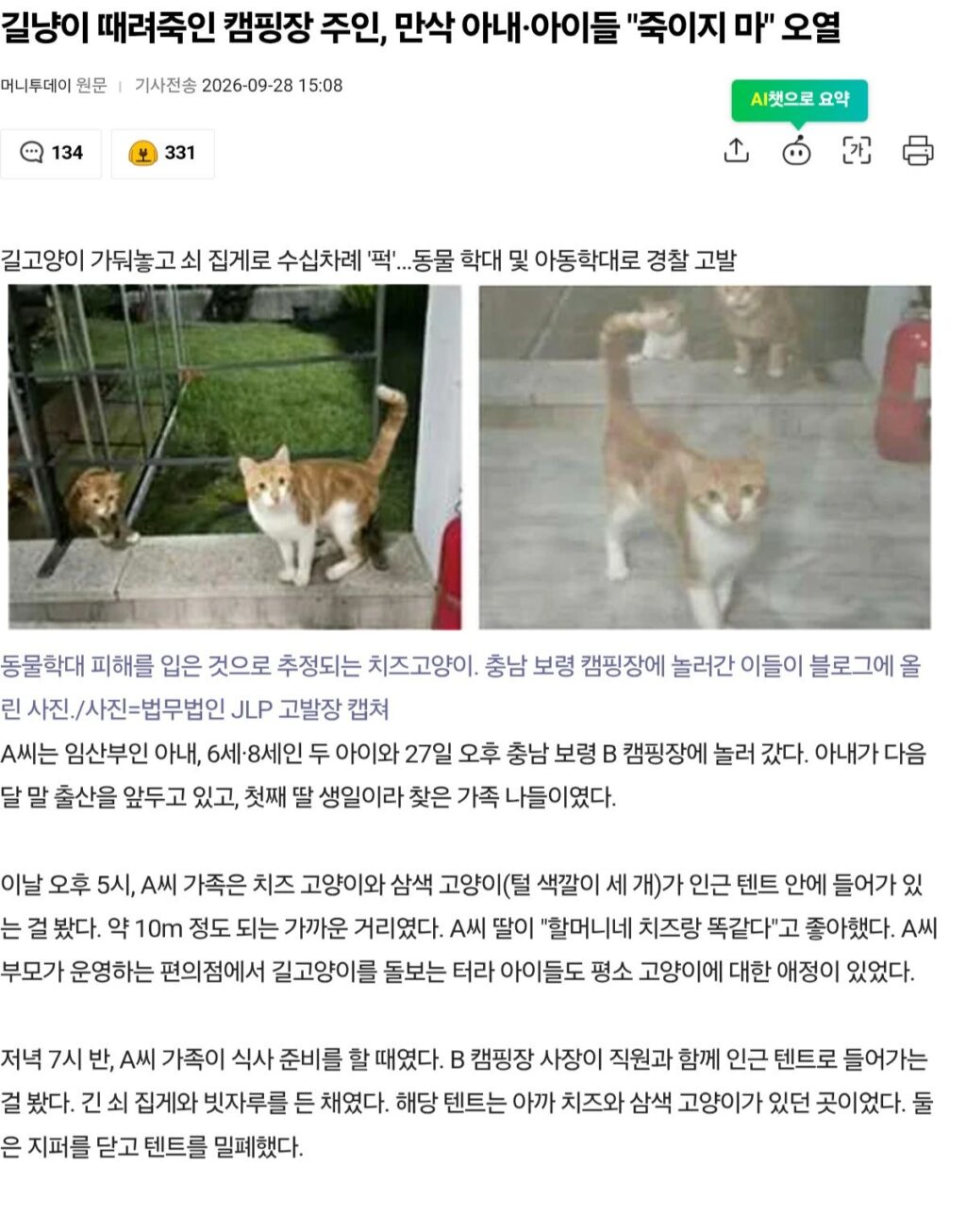 길냥이 때려죽인 캠핑장 주인, 만삭 아내·아이들 "죽이지 마" 오열