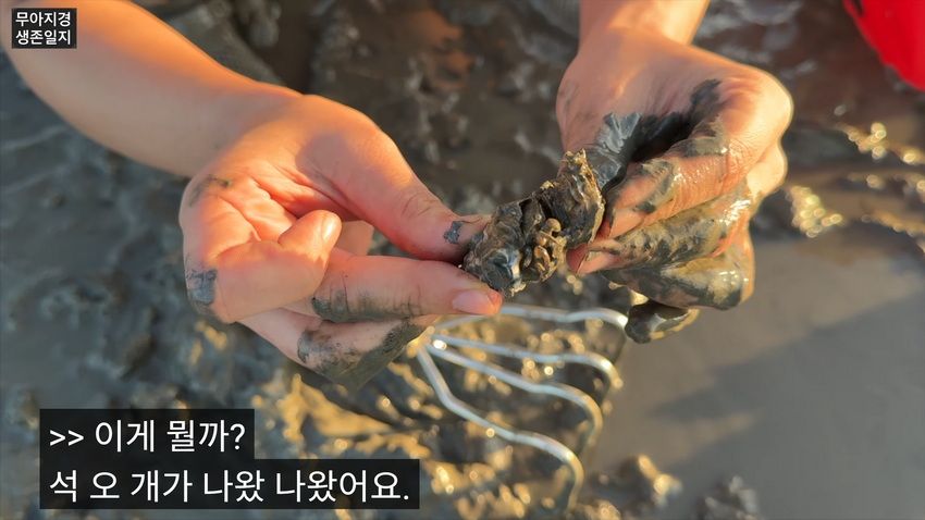 약후] 갯벌에서 식자재 해결하는 여자.jpg