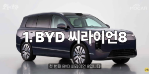 BYD 씨라이언8 제원, 기본 옵션