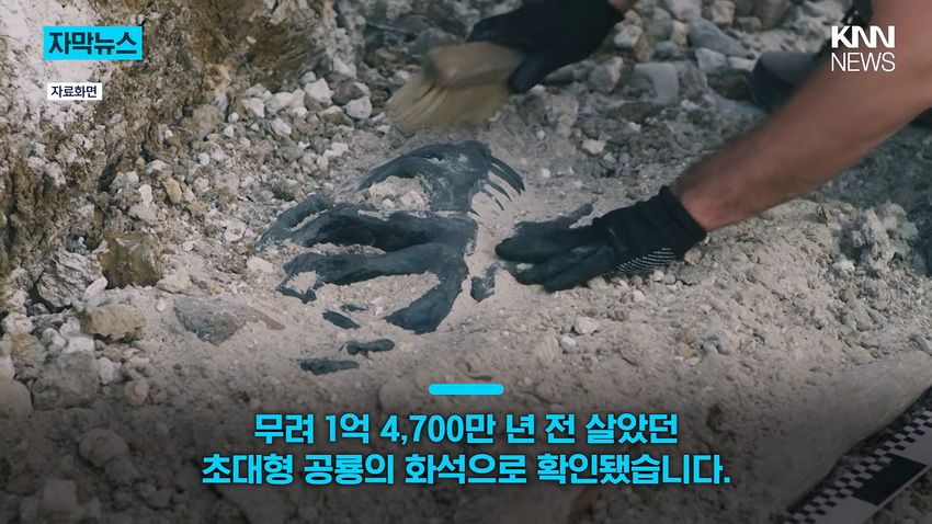 1억 년 전 초대형 공룡 뼈, 공사 현장에서 발견돼.