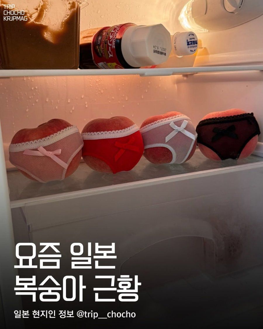 일본 복숭아 포장법, 귀엽다는 반응 폭발