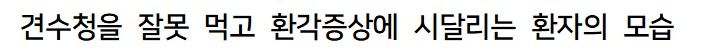 환각을 유발하는 것으로 알려진 독버섯