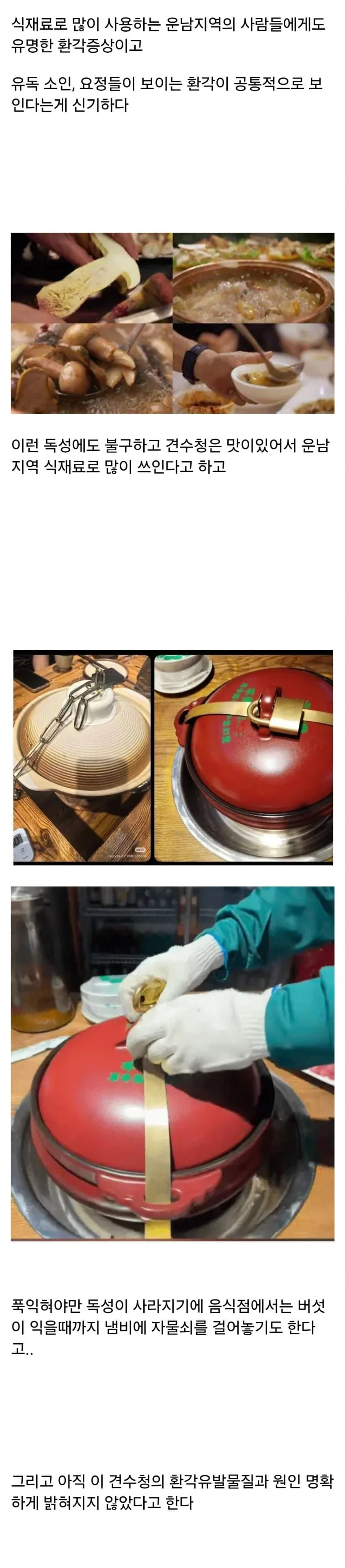 환각을 유발하는 것으로 알려진 독버섯