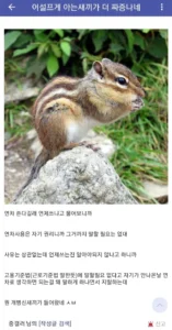 연차 사용 자유화로 인한 예상치 못한 부작용 발생