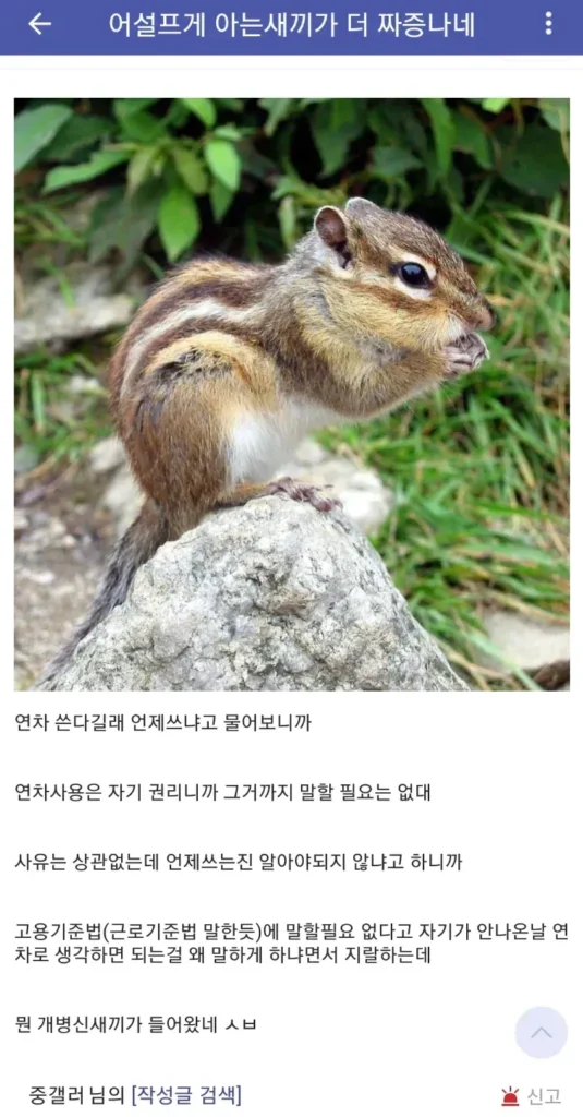 연차 사용 자유화로 인한 예상치 못한 부작용 발생