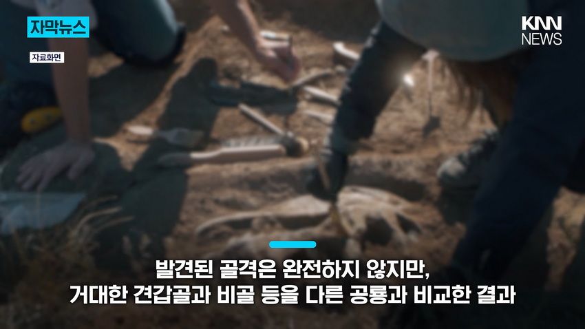 1억 년 전 초대형 공룡 뼈, 공사 현장에서 발견돼.