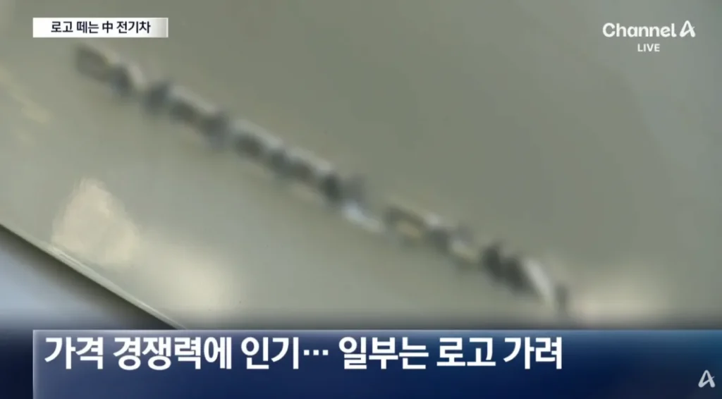 중국산 전기차 구매한 차주들이 하는것