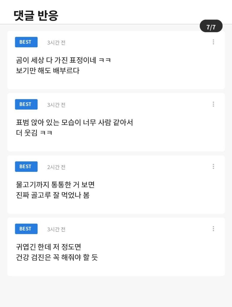 관람객 먹이 허용, 사료비 감당 못 한 동물원의 마지막