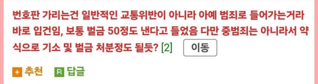 난 번호판가림 신고만 했을뿐인데 일이 커진거 같음