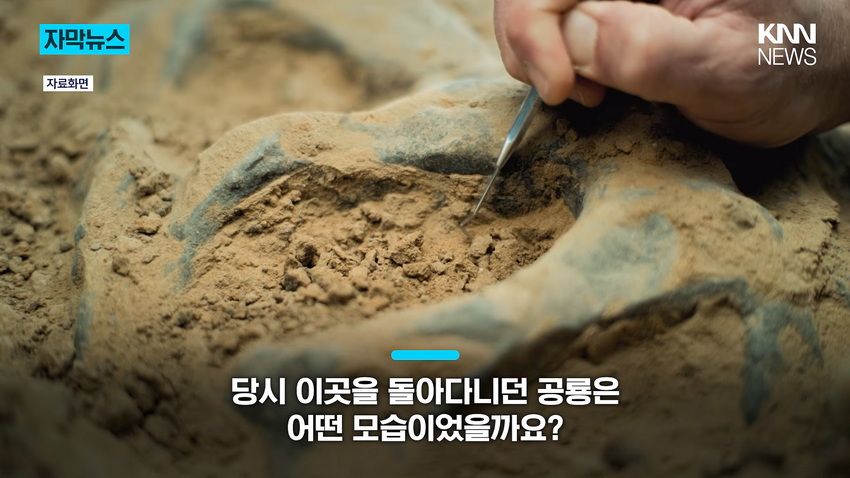 1억 년 전 초대형 공룡 뼈, 공사 현장에서 발견돼.