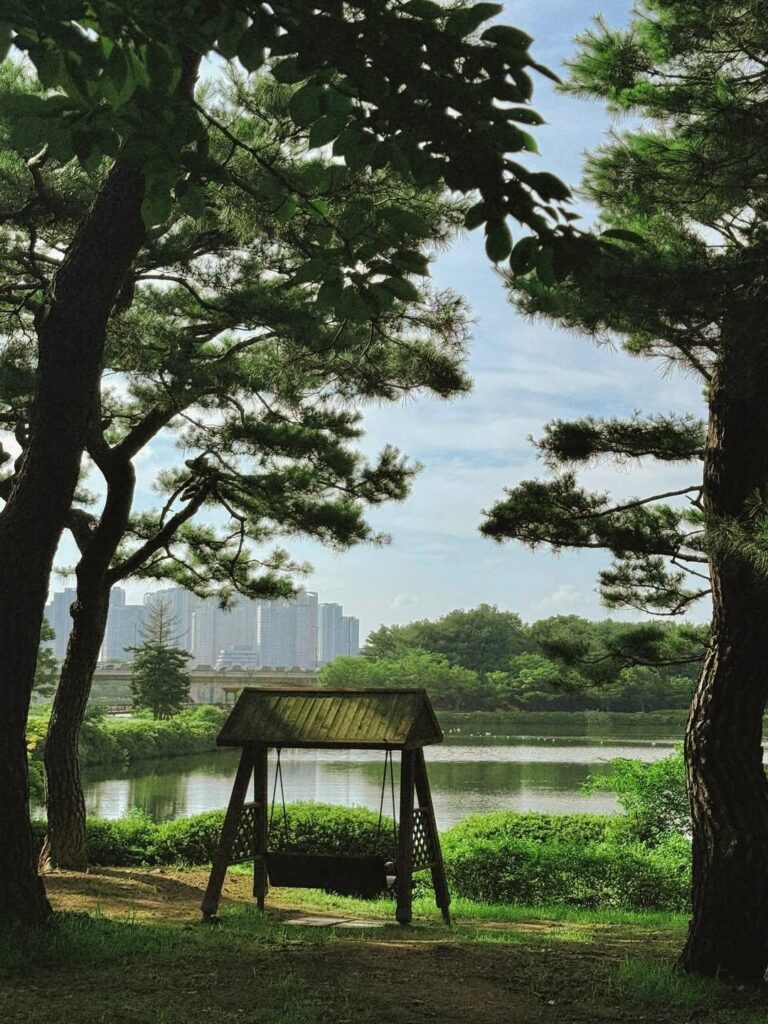 일산 이사 후 이국적인 동네 풍경에 해외여행 욕구를 잃은 사연