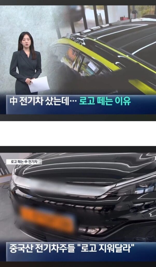 BYD 전기차 로고 제거 이유.jpg