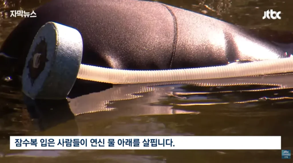 하천을 훼손하며 사금을 채취하는 사람들