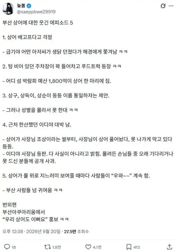 부산 무료 상어 쇼, 아직 진행 중