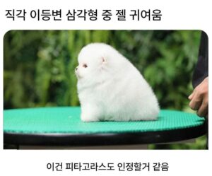 가장 귀여운 직각 이등변 삼각형