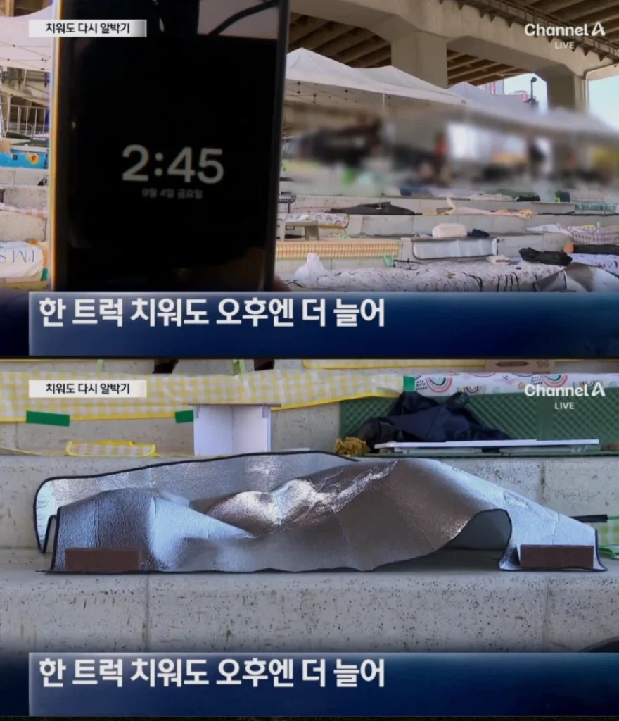 여의도 한강공원 돗자리 이용 단속에 분노한 사람