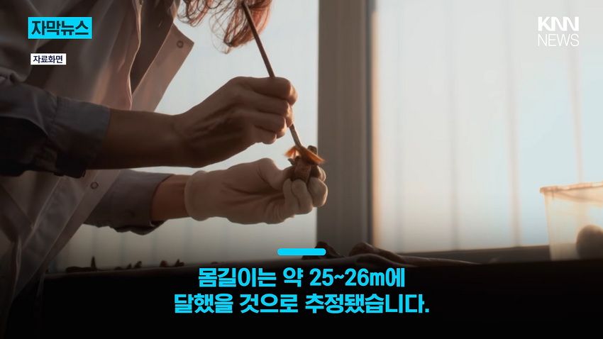 1억 년 전 초대형 공룡 뼈, 공사 현장에서 발견돼.