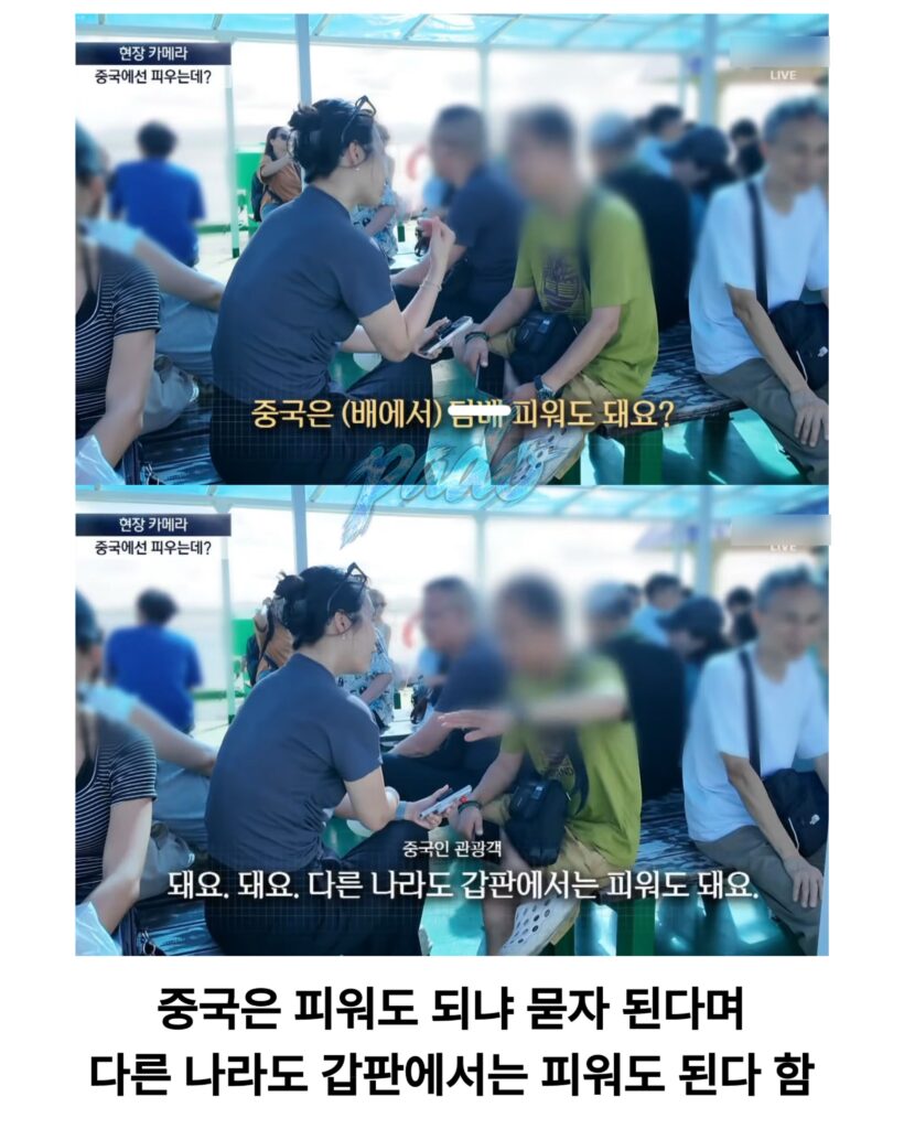 우도까지 진출한 짱개바퀴벌레, 제주도 점령