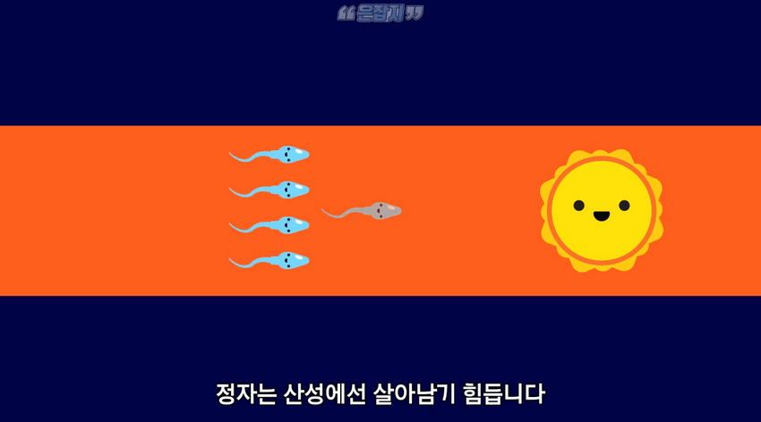 남자들은 잘 모르는 '냉'에 대하여
