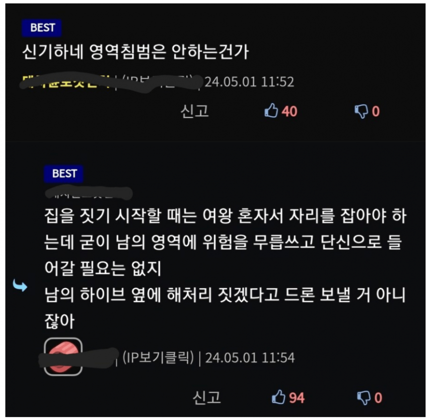 말벌 사냥하기