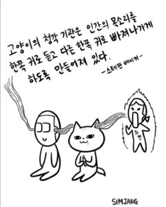 고양이가 말을 안들어먹는 이유