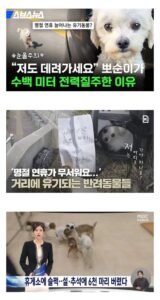 폭증하는 명절 연휴 대참사.jpg