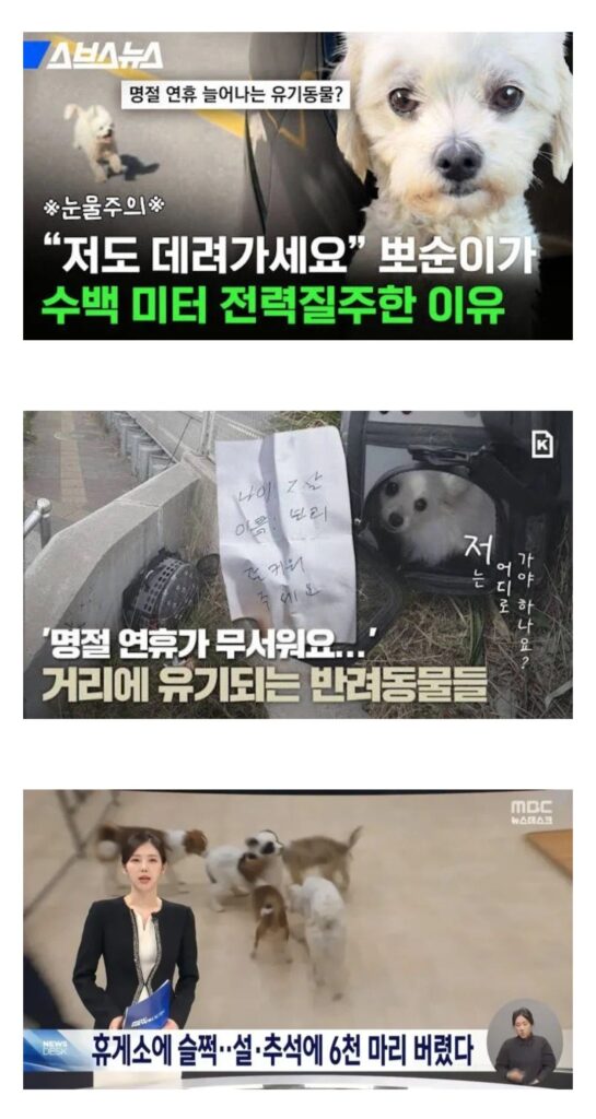 폭증하는 명절 연휴 대참사.jpg