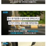 미쳐버린 캣맘