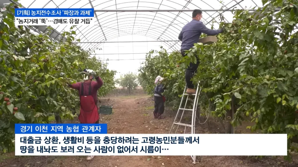 농지전수조사로 지역농축협 재정건전성 악화 진행중