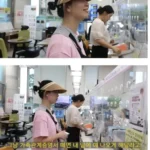 공무원 대상 강아지 가족관계증명서 관련 악성 민원 업데이트