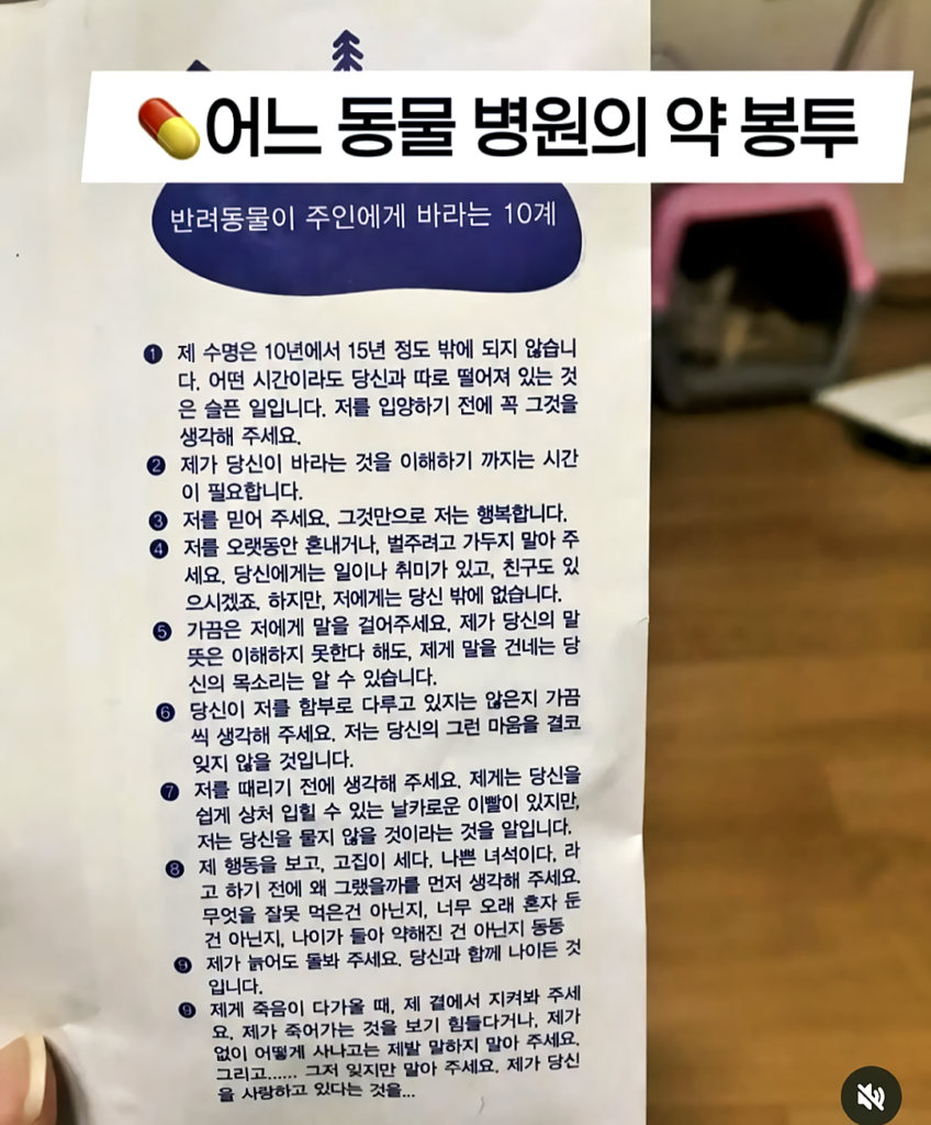 동물 병원 약 봉투 관련 내용