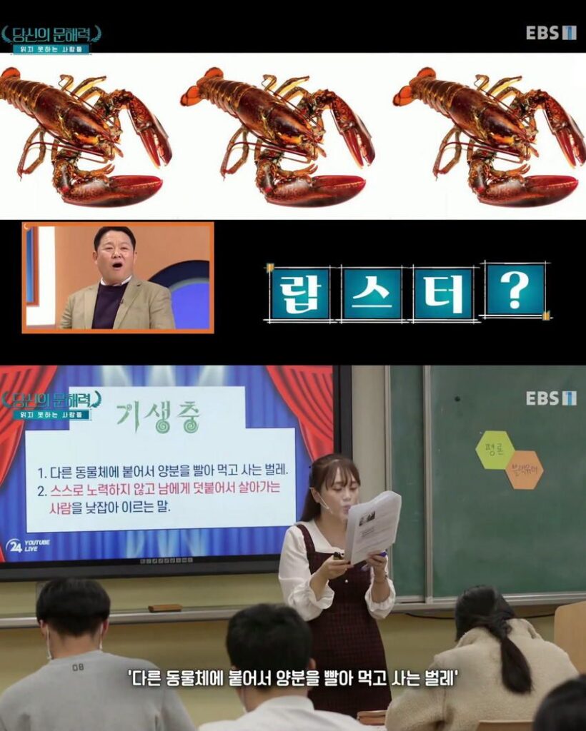 요즘 심각하다는 문해력 문제, 당신은 어떠신가요?