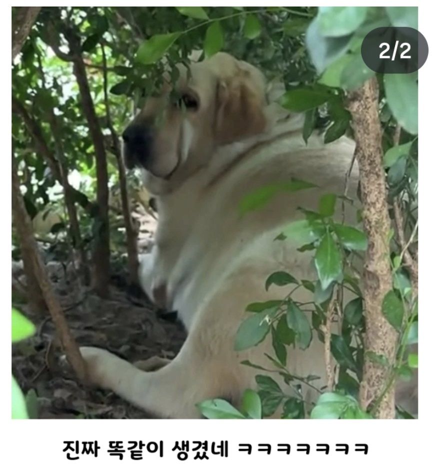 정직한 표지판에 대한 고찰