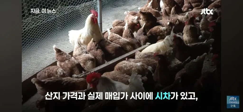 닭값 하락에 눈치 보는 치킨 업계 동향